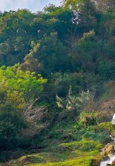 Crecerá afluencia y derrama con la Virgen de la Misericordia en Hidalgo